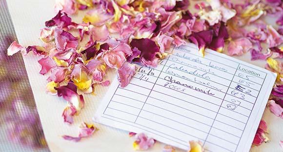 Stylesatlife.net Need a Beauty treatment? All about Skin Care? Have the Best and Favorite Buy in Electrical Devices. Shop convinient, shop in Style!